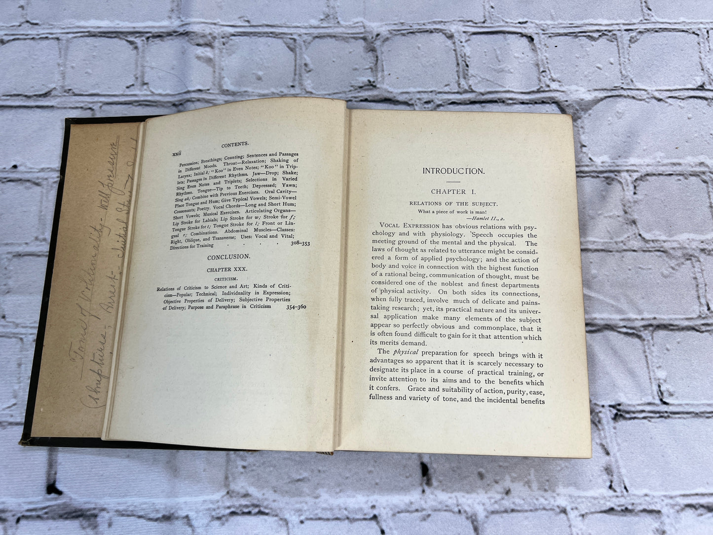 Rhetoric of Vocal Expression: A Study of the Properties of Thought as Related to Utterance [1st Ed. · 1892]