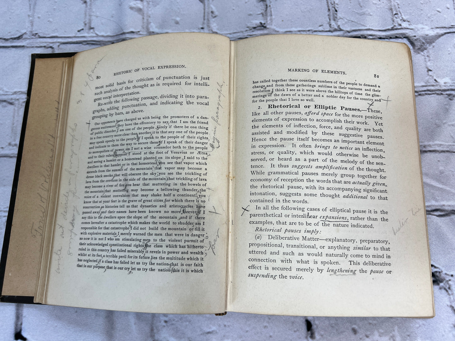 Rhetoric of Vocal Expression: A Study of the Properties of Thought as Related to Utterance [1st Ed. · 1892]