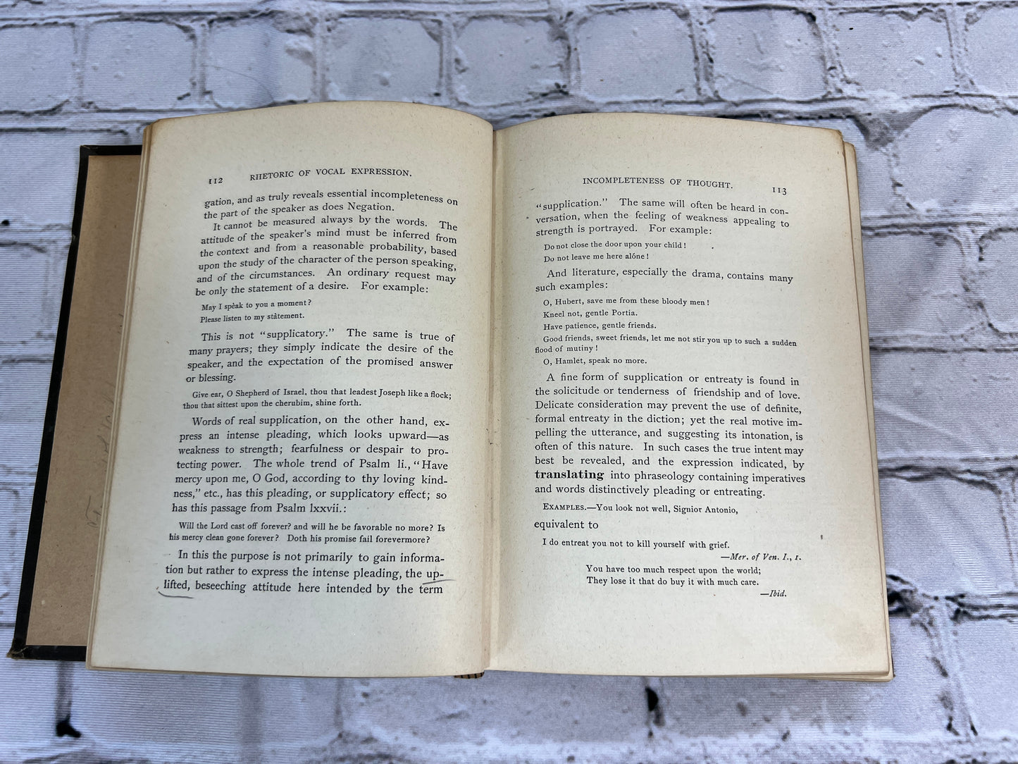 Rhetoric of Vocal Expression: A Study of the Properties of Thought as Related to Utterance [1st Ed. · 1892]