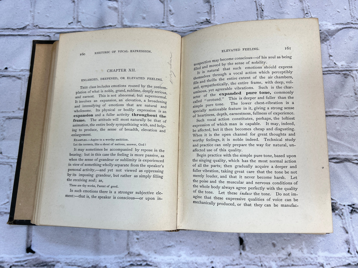 Rhetoric of Vocal Expression: A Study of the Properties of Thought as Related to Utterance [1st Ed. · 1892]