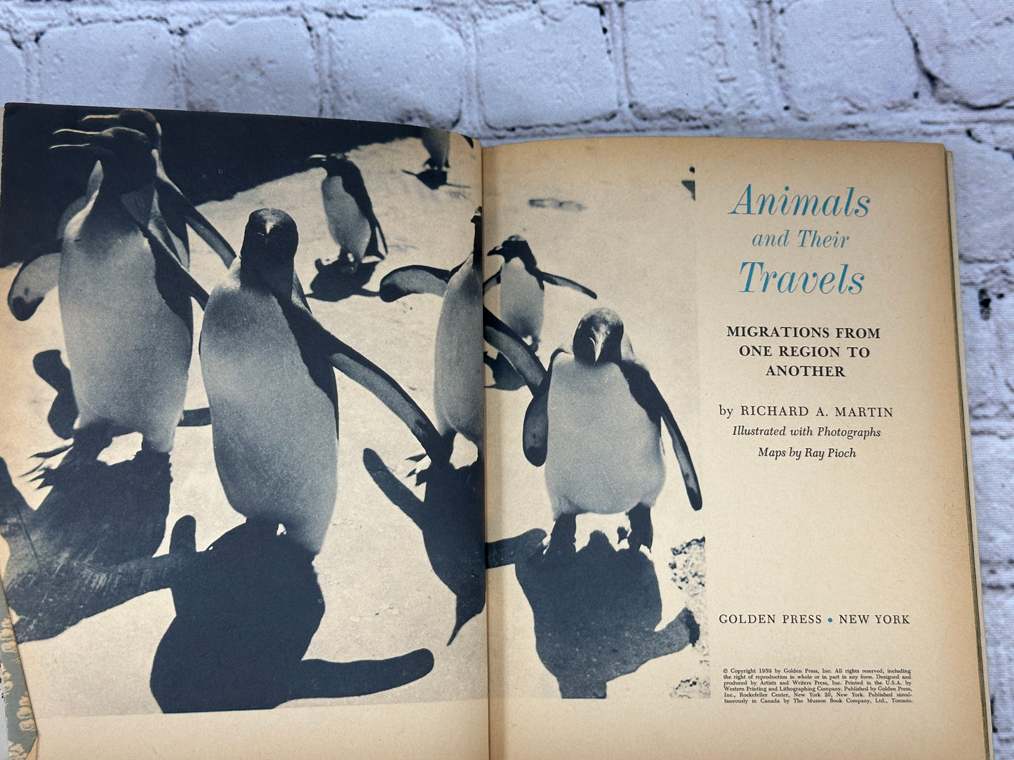 Animals and Their Travels by Richard Martin [1959 · Golden Book]