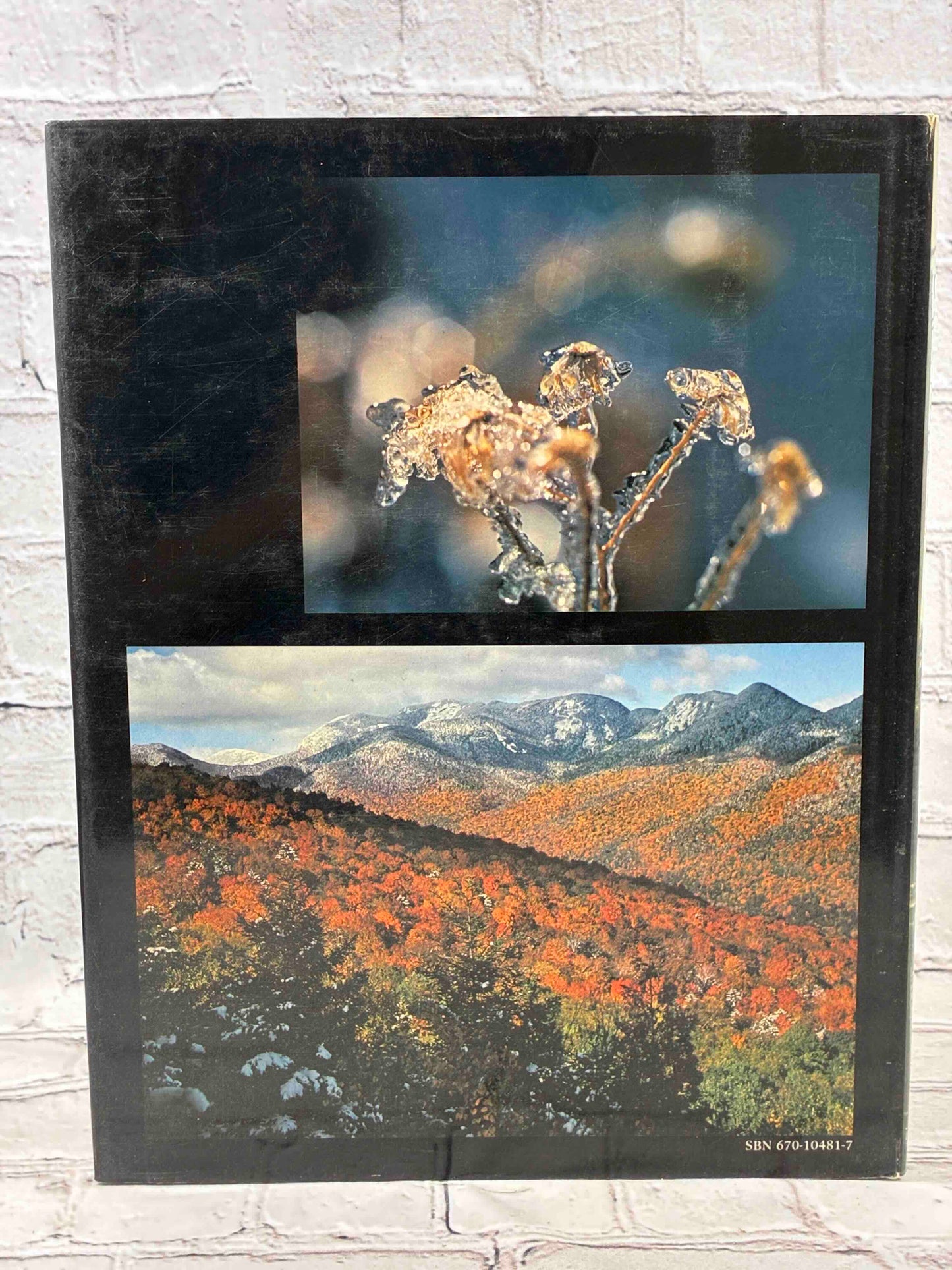 The Adirondacks