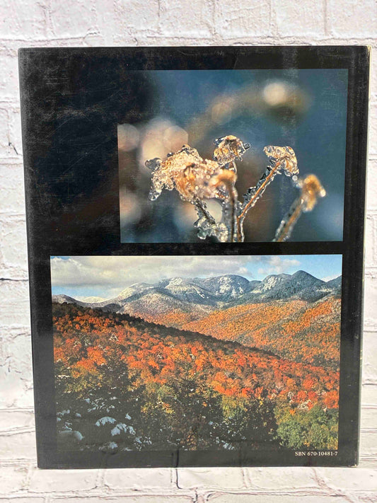 The Adirondacks