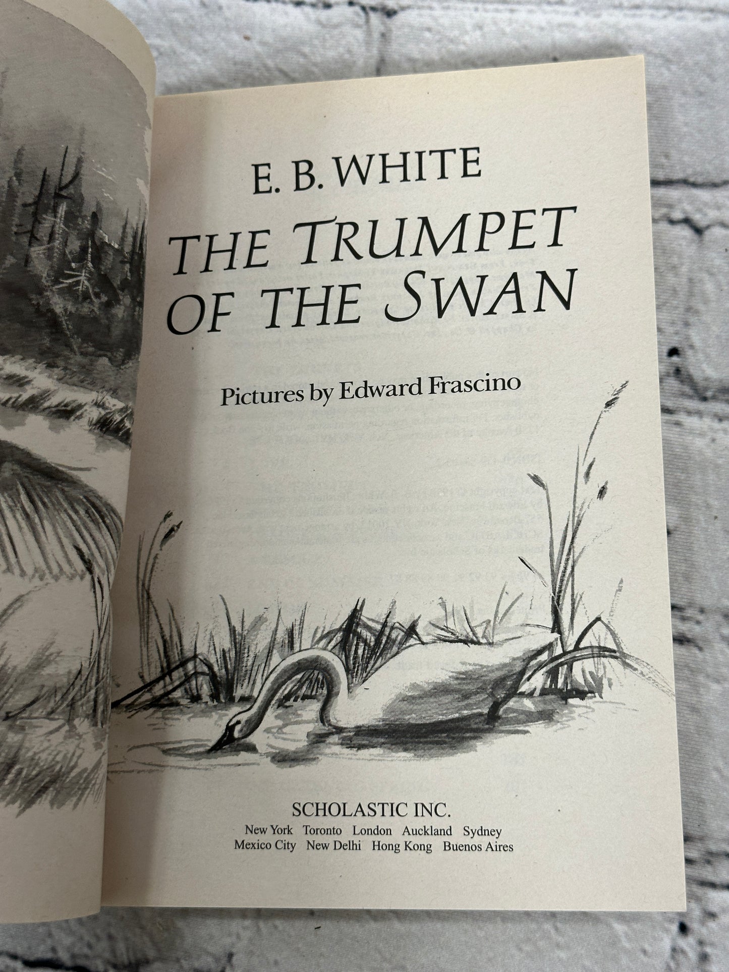 The Trumpet of the Swan by E. B. White [2005]