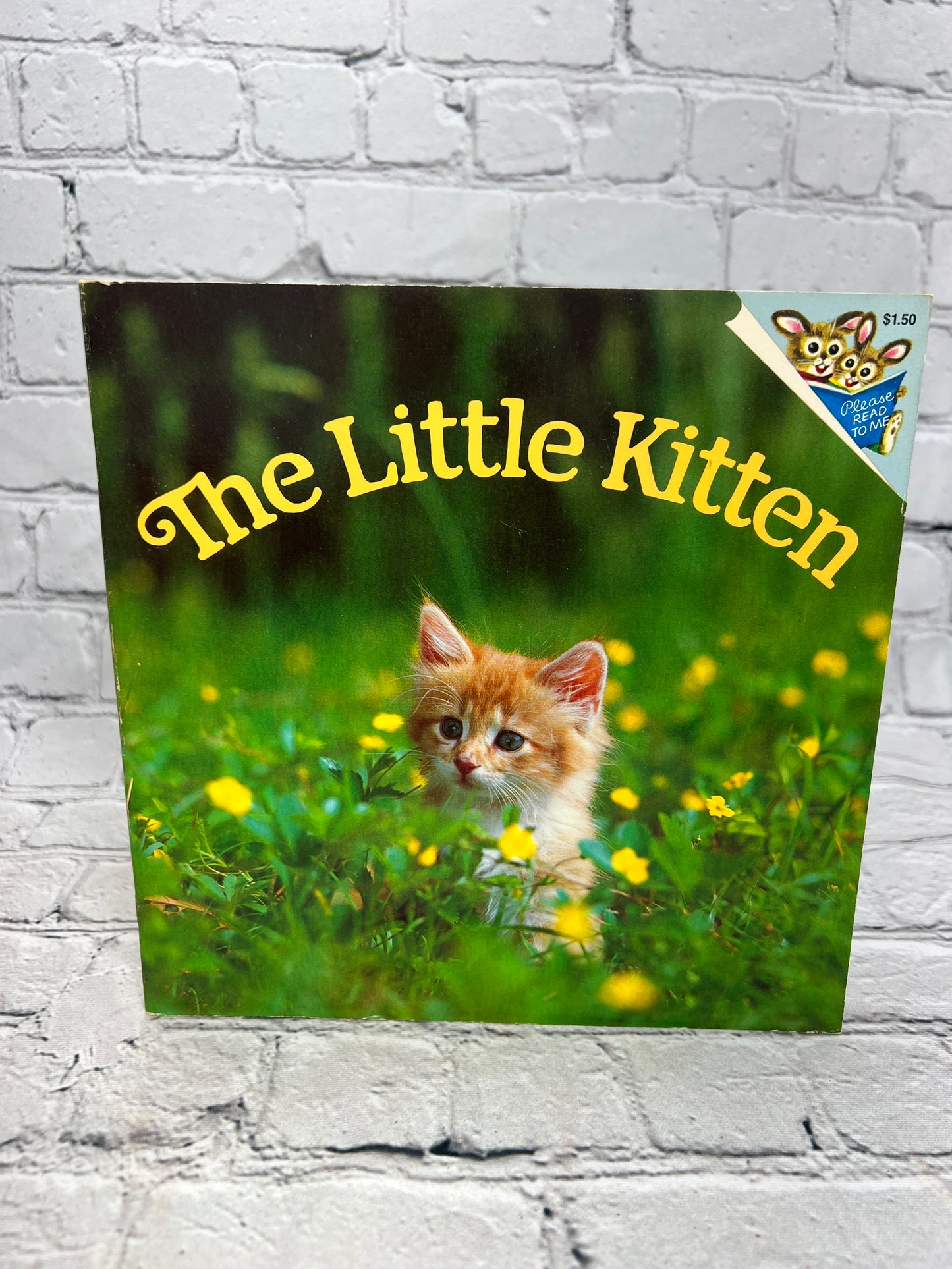 The Little Kitten by Judy Dunn [Random House Pictureback · 1st Print · 1983]