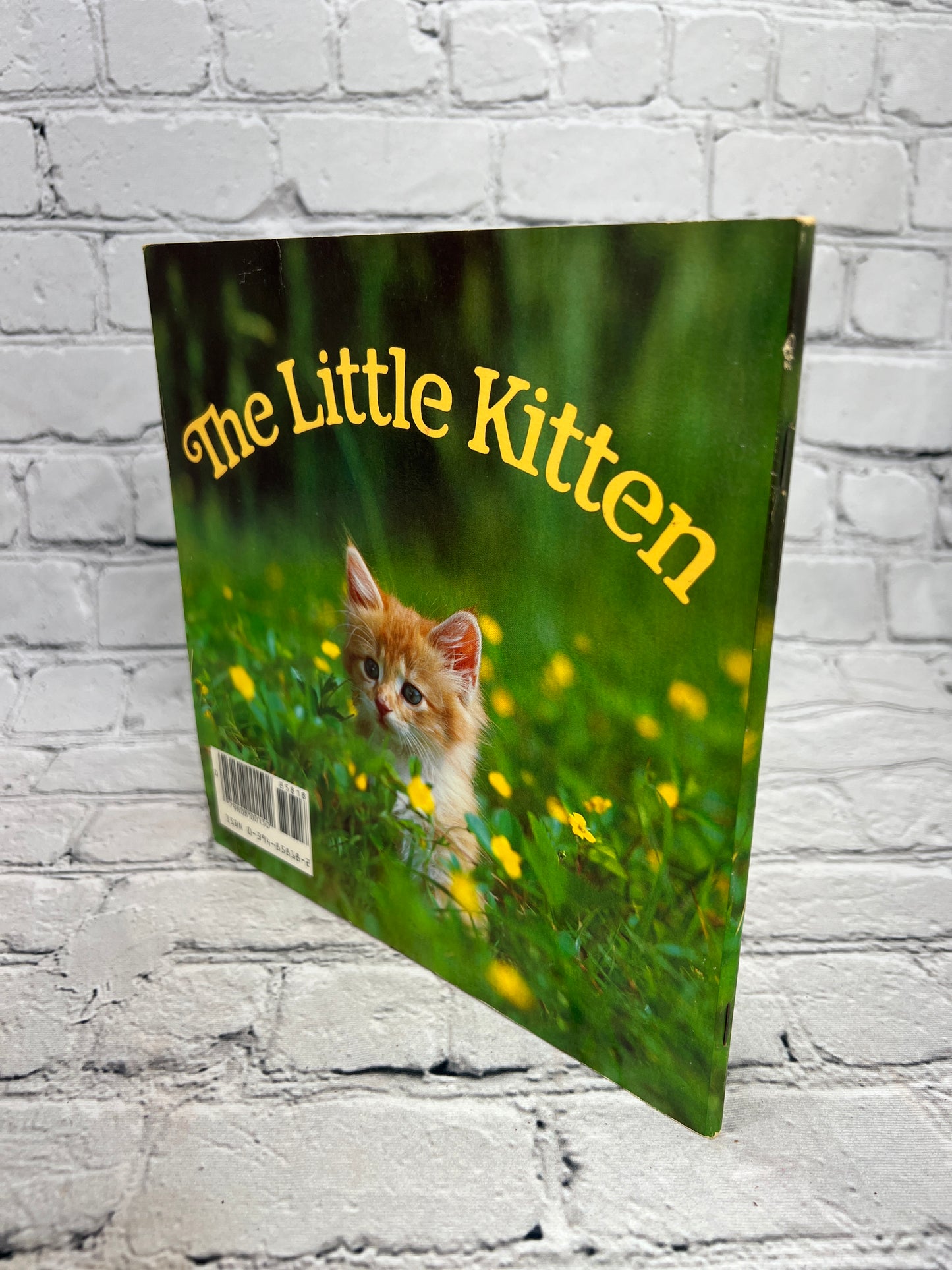 The Little Kitten by Judy Dunn [Random House Pictureback · 1st Print · 1983]