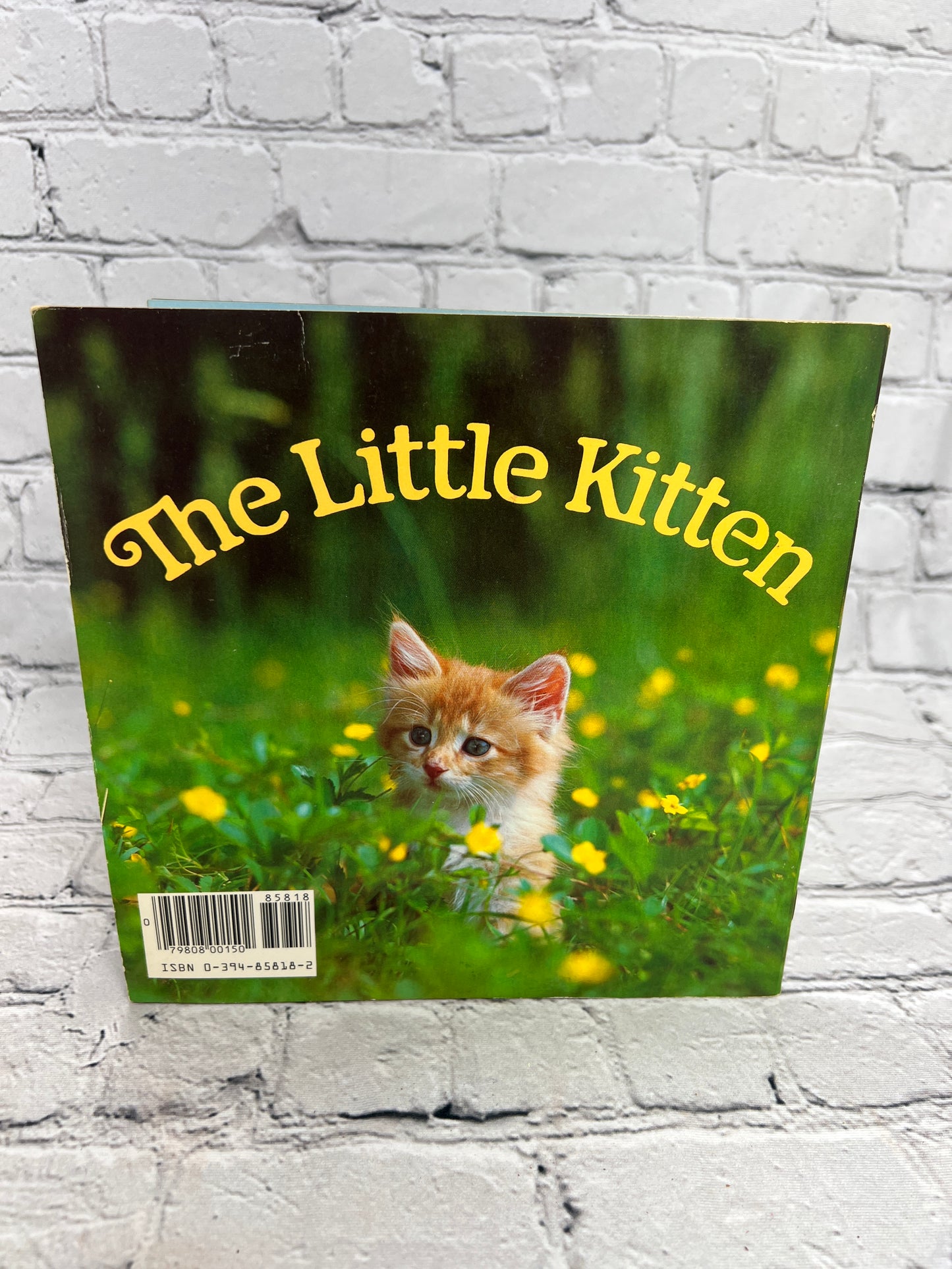 The Little Kitten by Judy Dunn [Random House Pictureback · 1st Print · 1983]