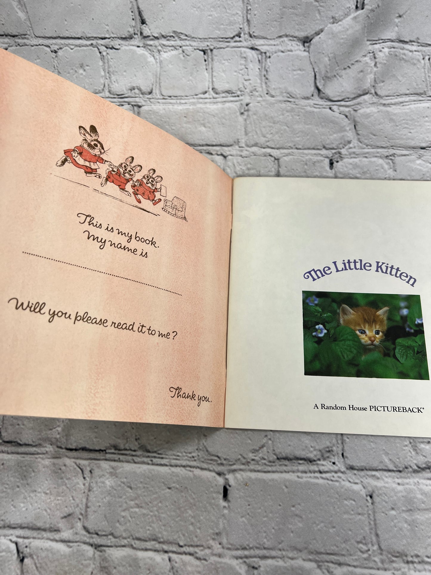 The Little Kitten by Judy Dunn [Random House Pictureback · 1st Print · 1983]