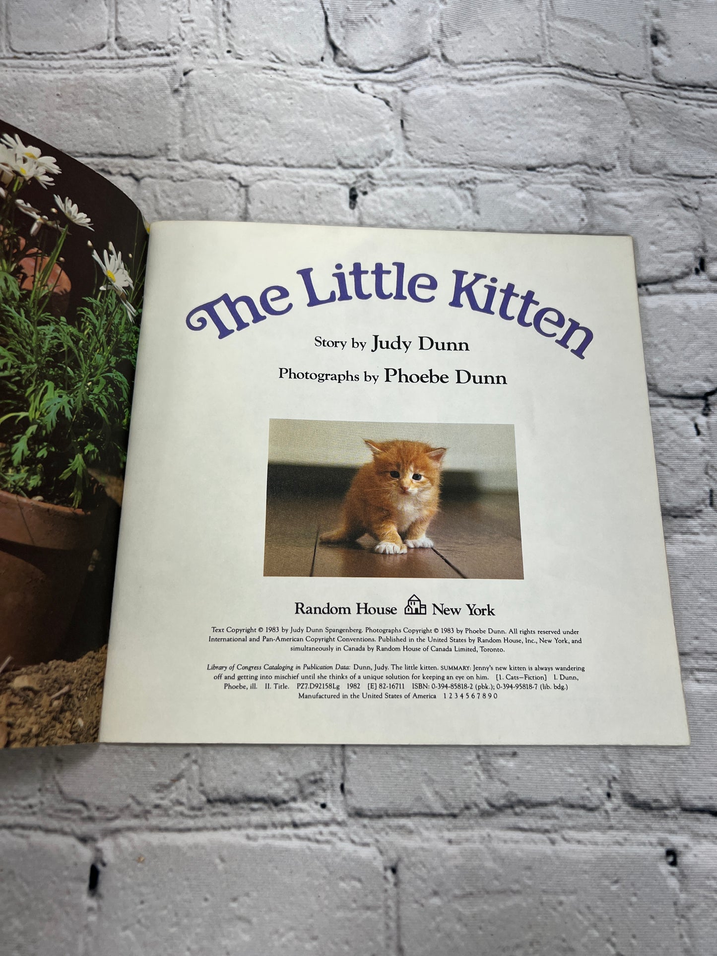 The Little Kitten by Judy Dunn [Random House Pictureback · 1st Print · 1983]