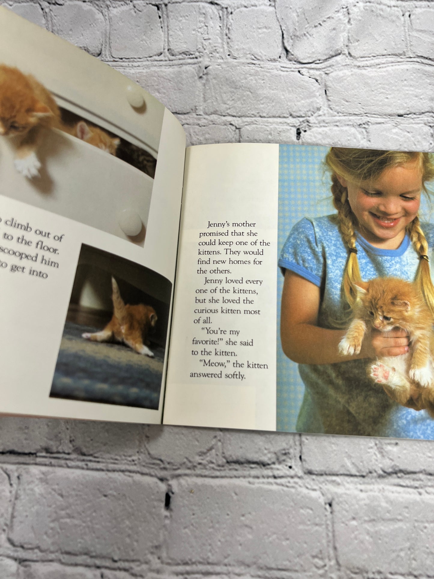 The Little Kitten by Judy Dunn [Random House Pictureback · 1st Print · 1983]