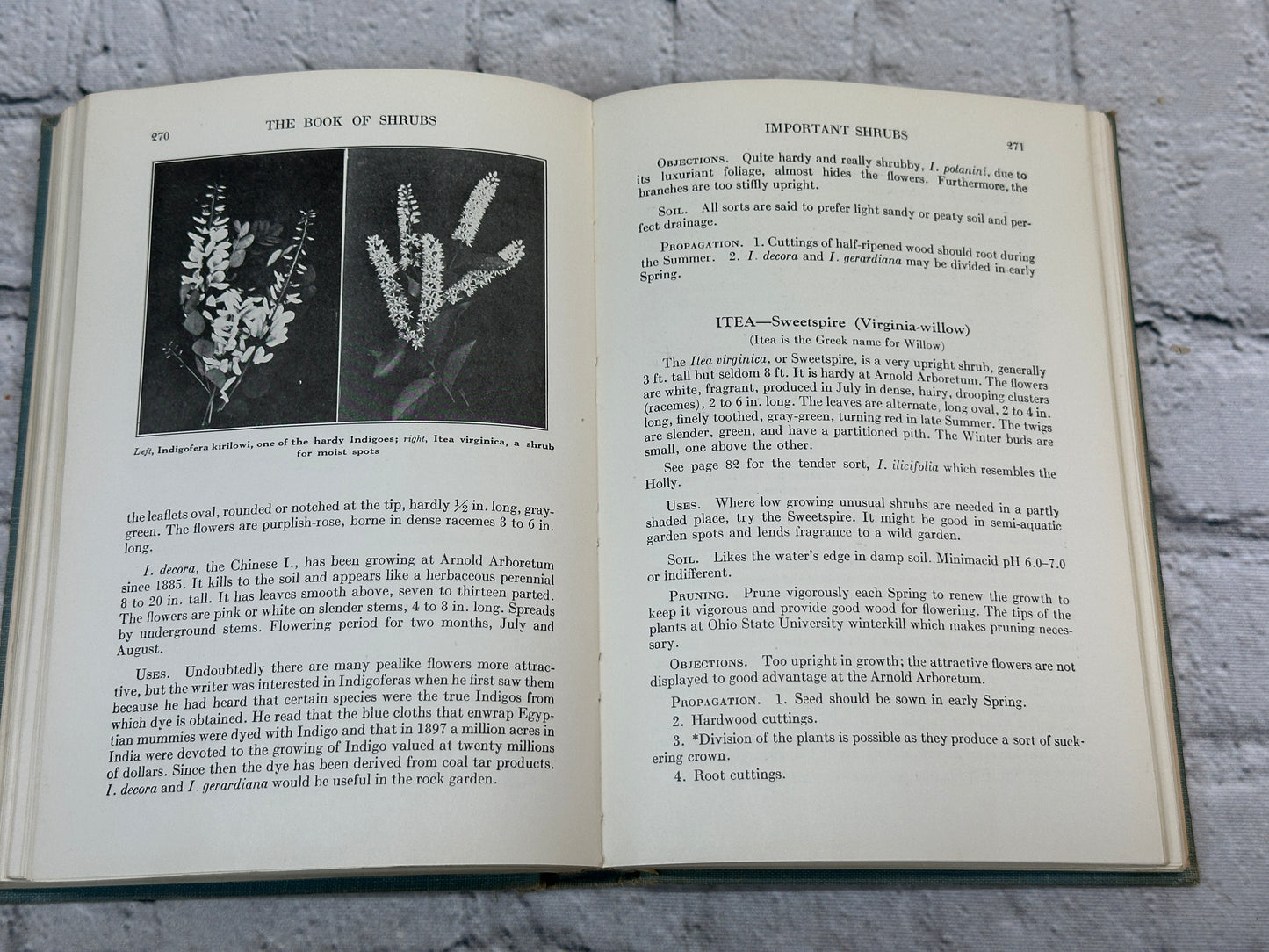 The Book Of Shrubs By Alfred C. Hottes [1950 · Fifth Edition]