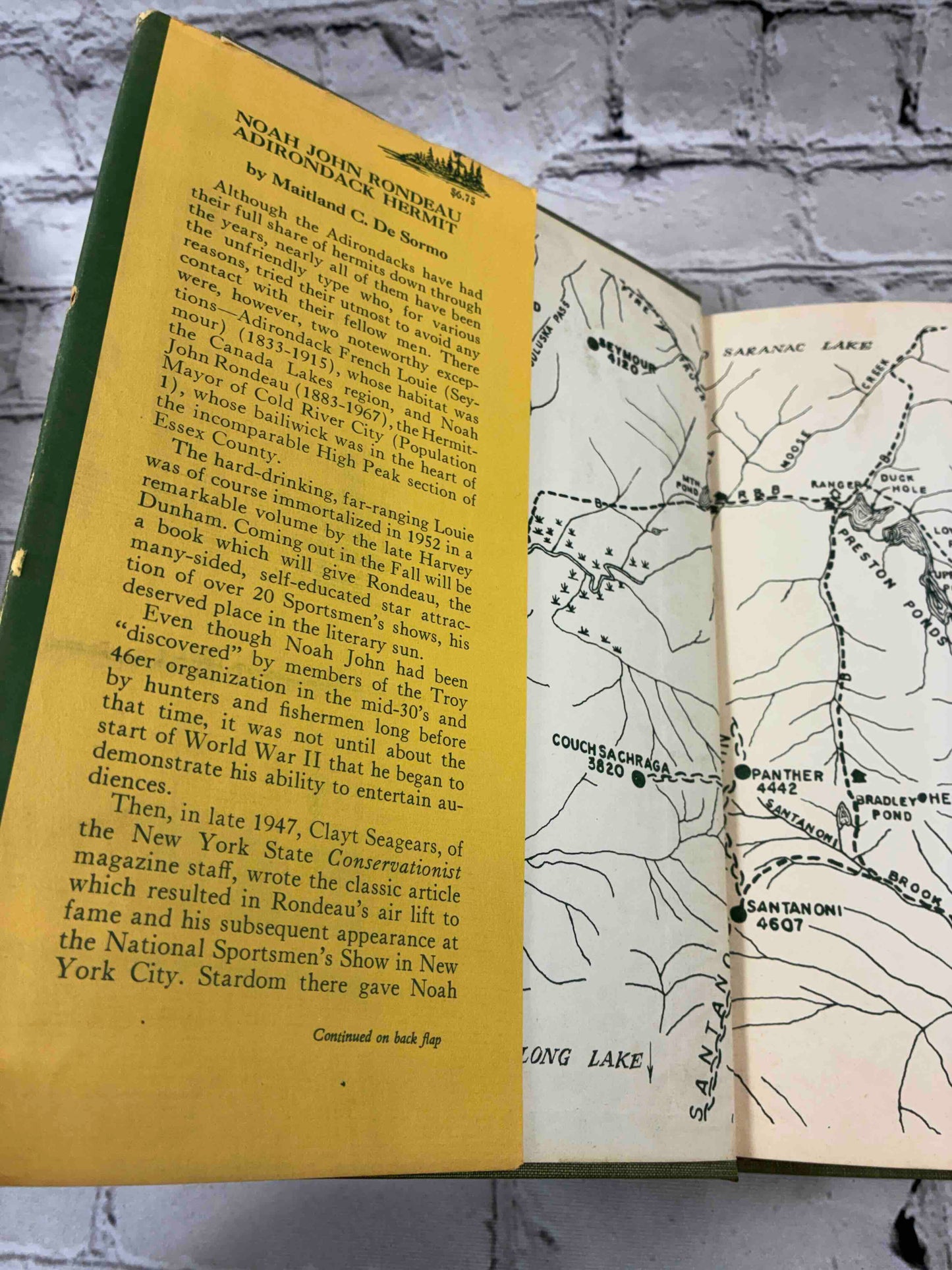 Noah John Rondeau: Adirondack Hermit