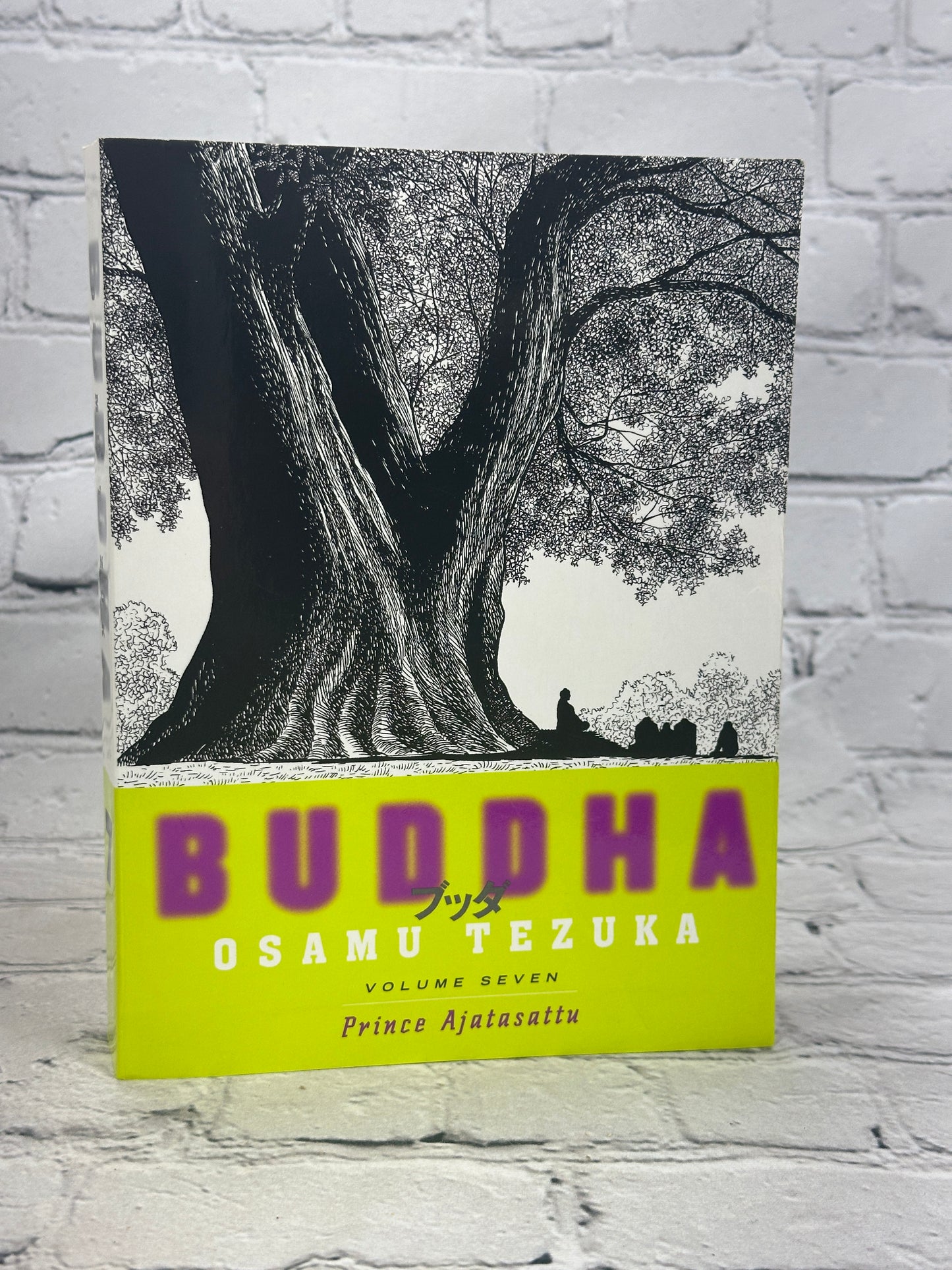 Buddha Omnibus by Osamu Tezuka [Complete Set · 8 Volumes · 2006]