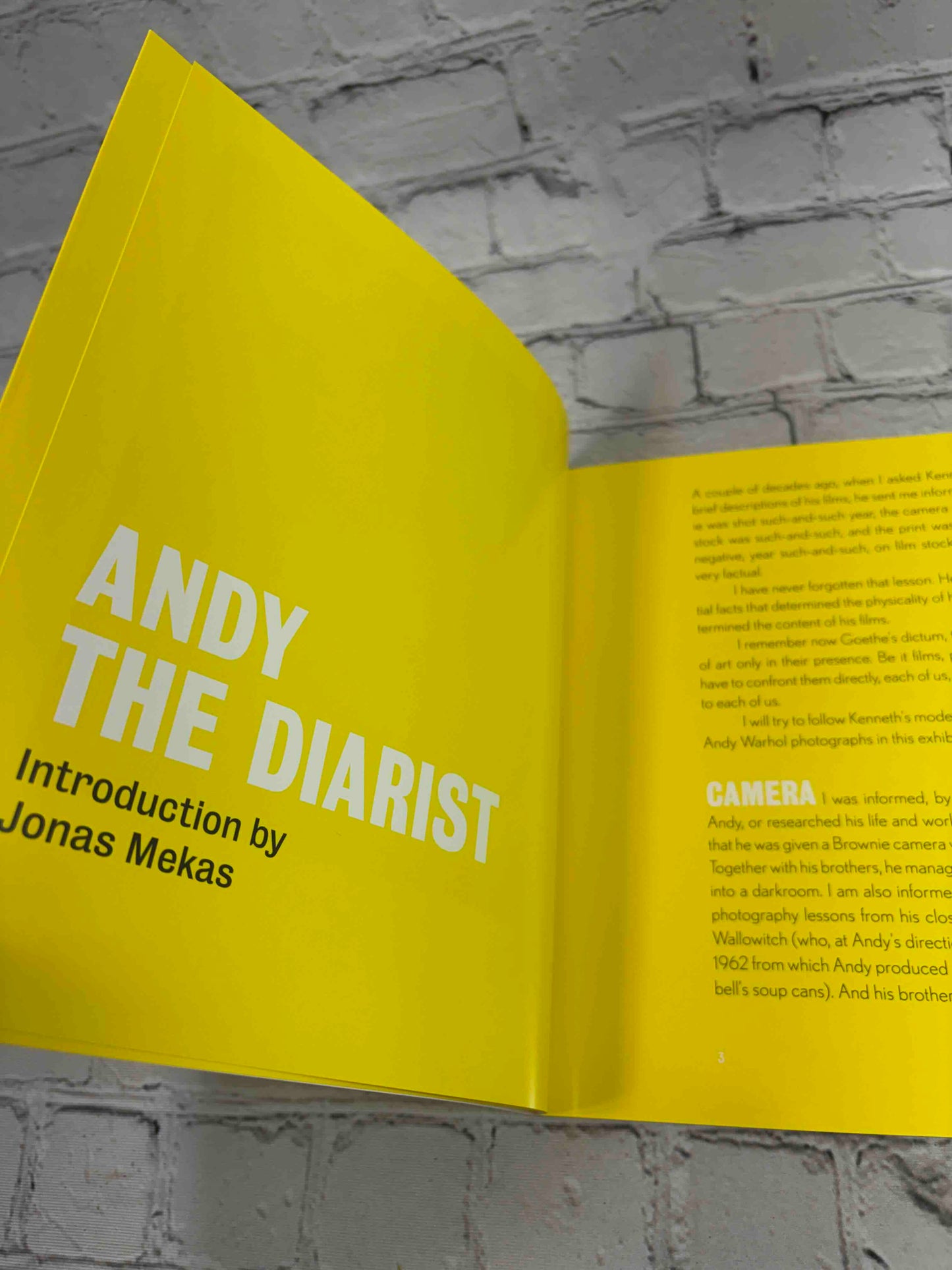 Andy Warhol's Street Diary Photographs 1981-86