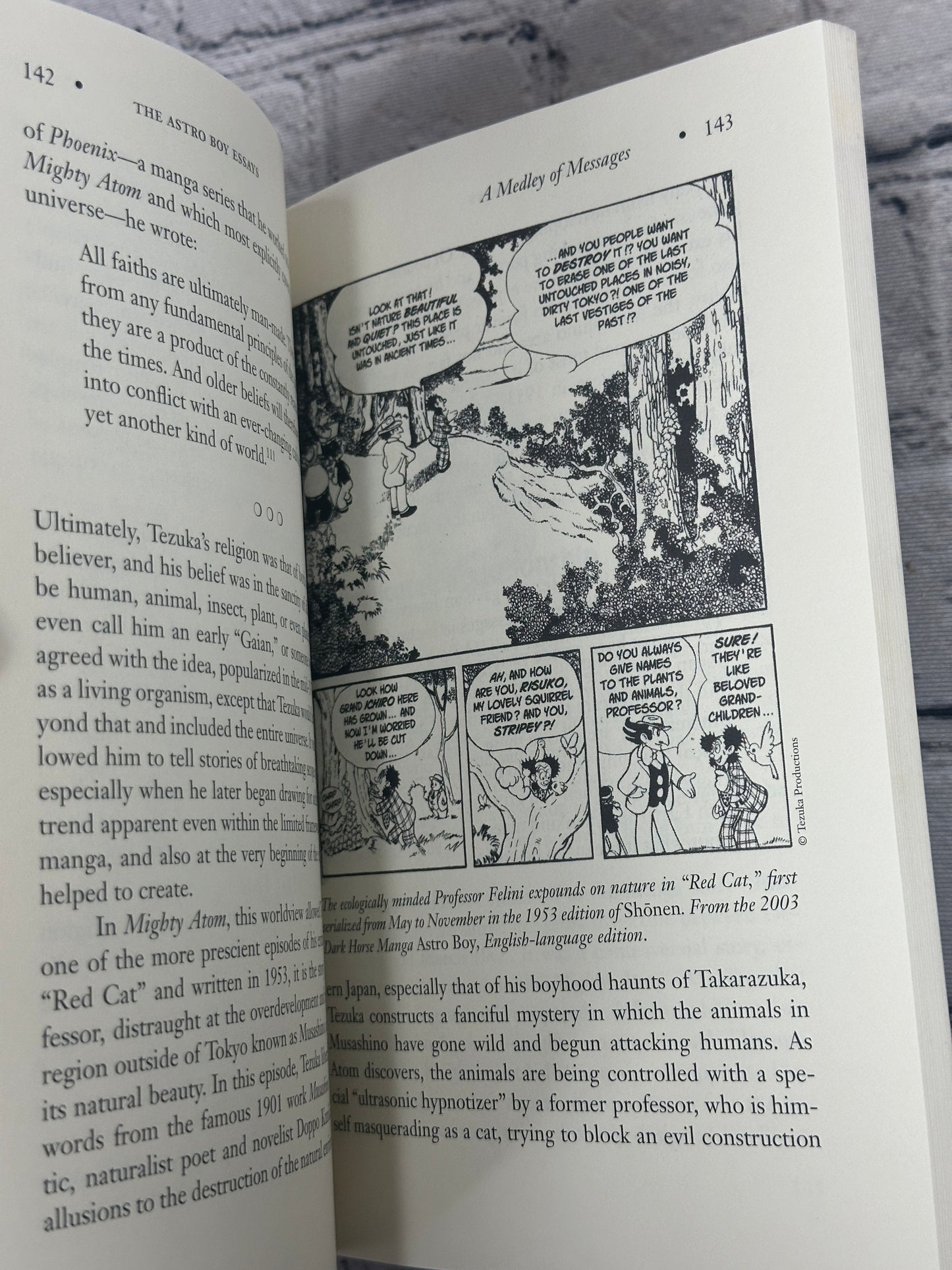 The Astro Boy Essays: Osamu Tezuka, Mighty Atom, and the Manga/Anime Revolution