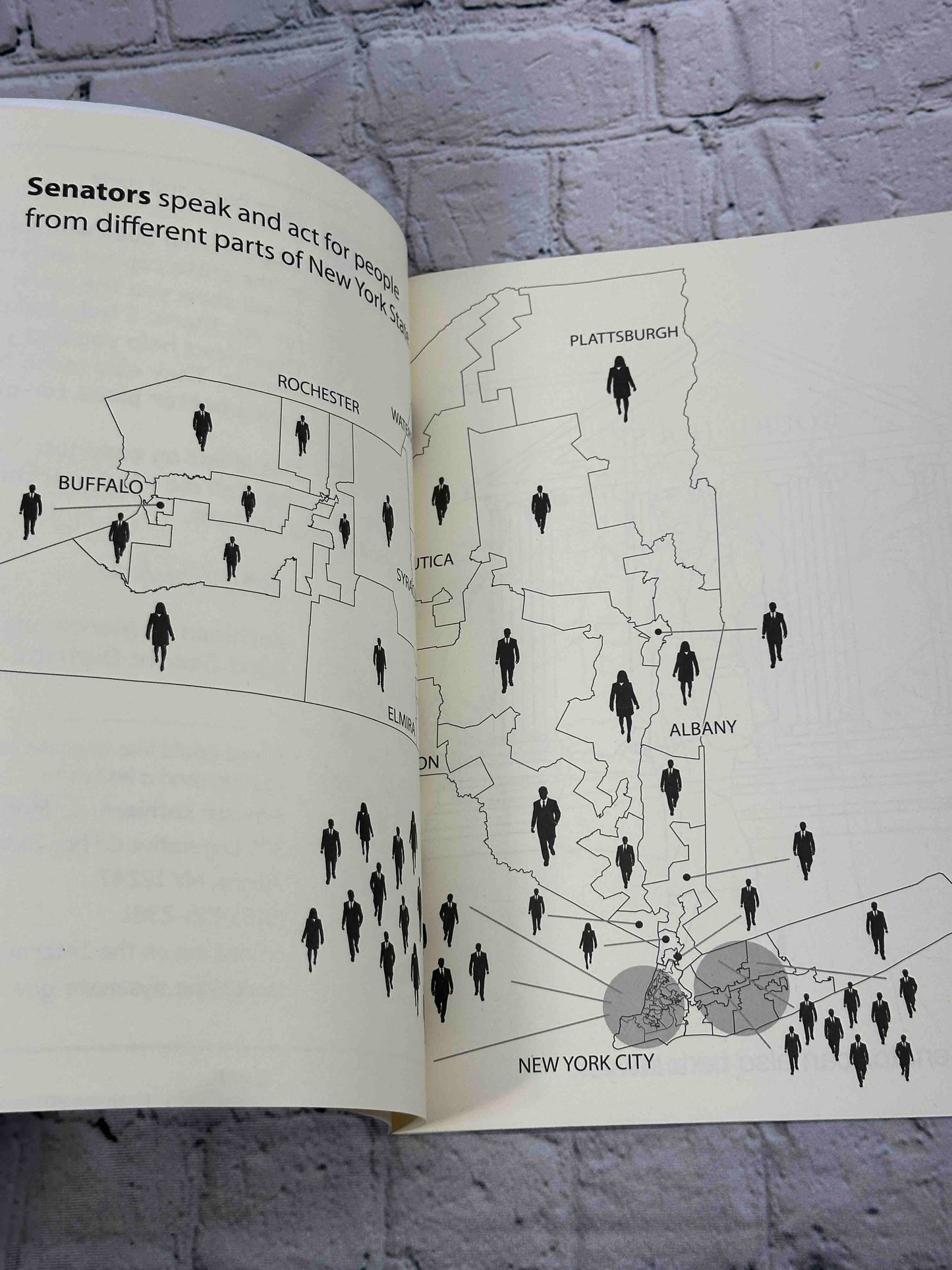 Your Senate Coloring Book [Albany, New York]