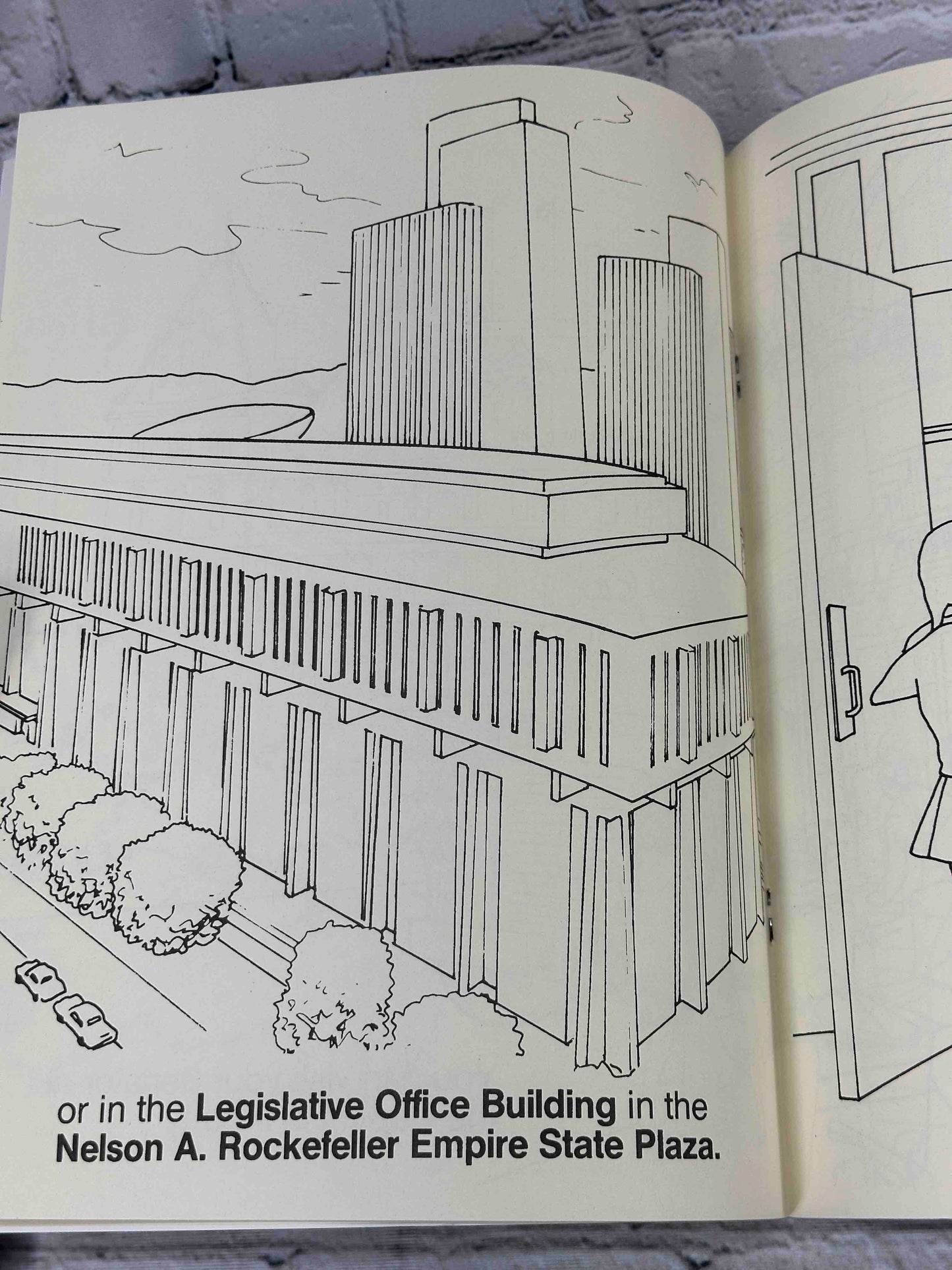 Your Senate Coloring Book [Albany, New York]