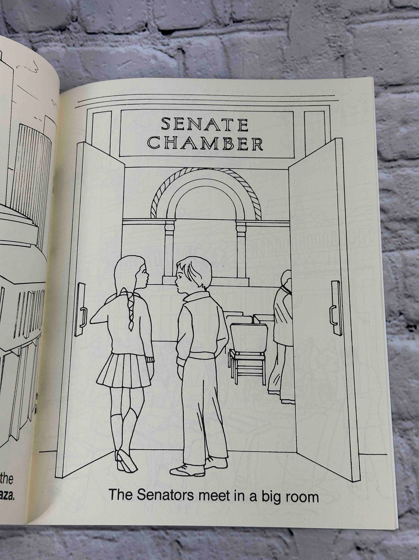 Your Senate Coloring Book [Albany, New York]