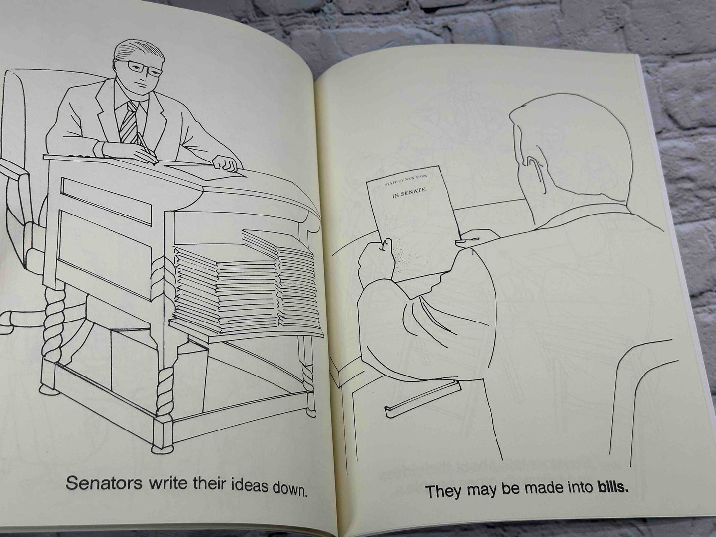 Your Senate Coloring Book [Albany, New York]