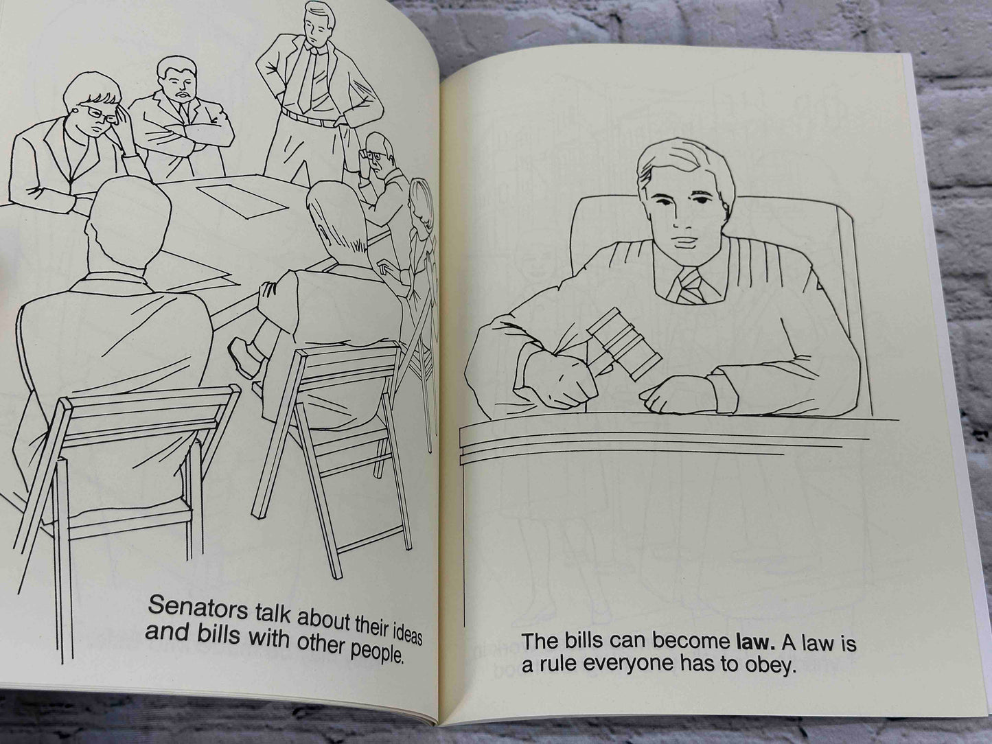 Your Senate Coloring Book [Albany, New York]