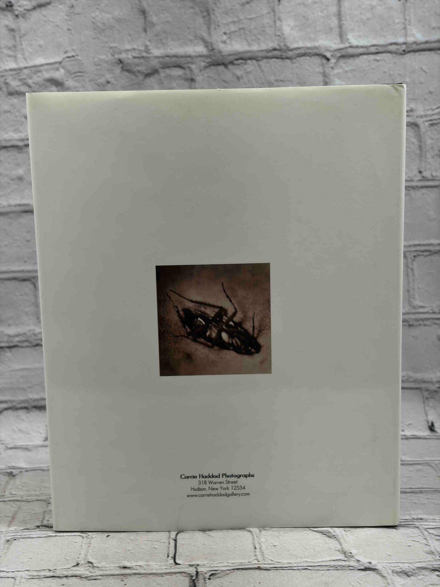 Two Decades (SIGNED)