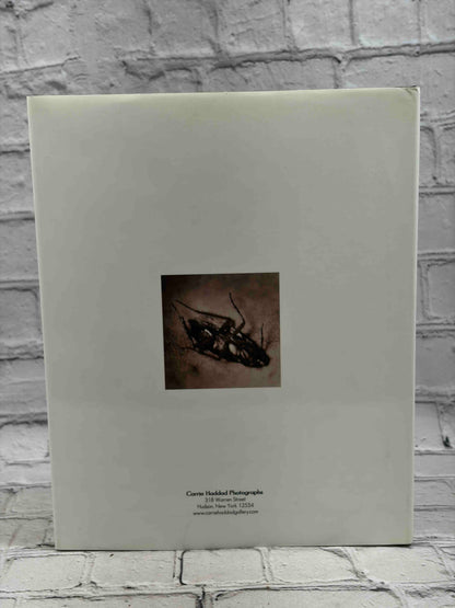 Two Decades (SIGNED)