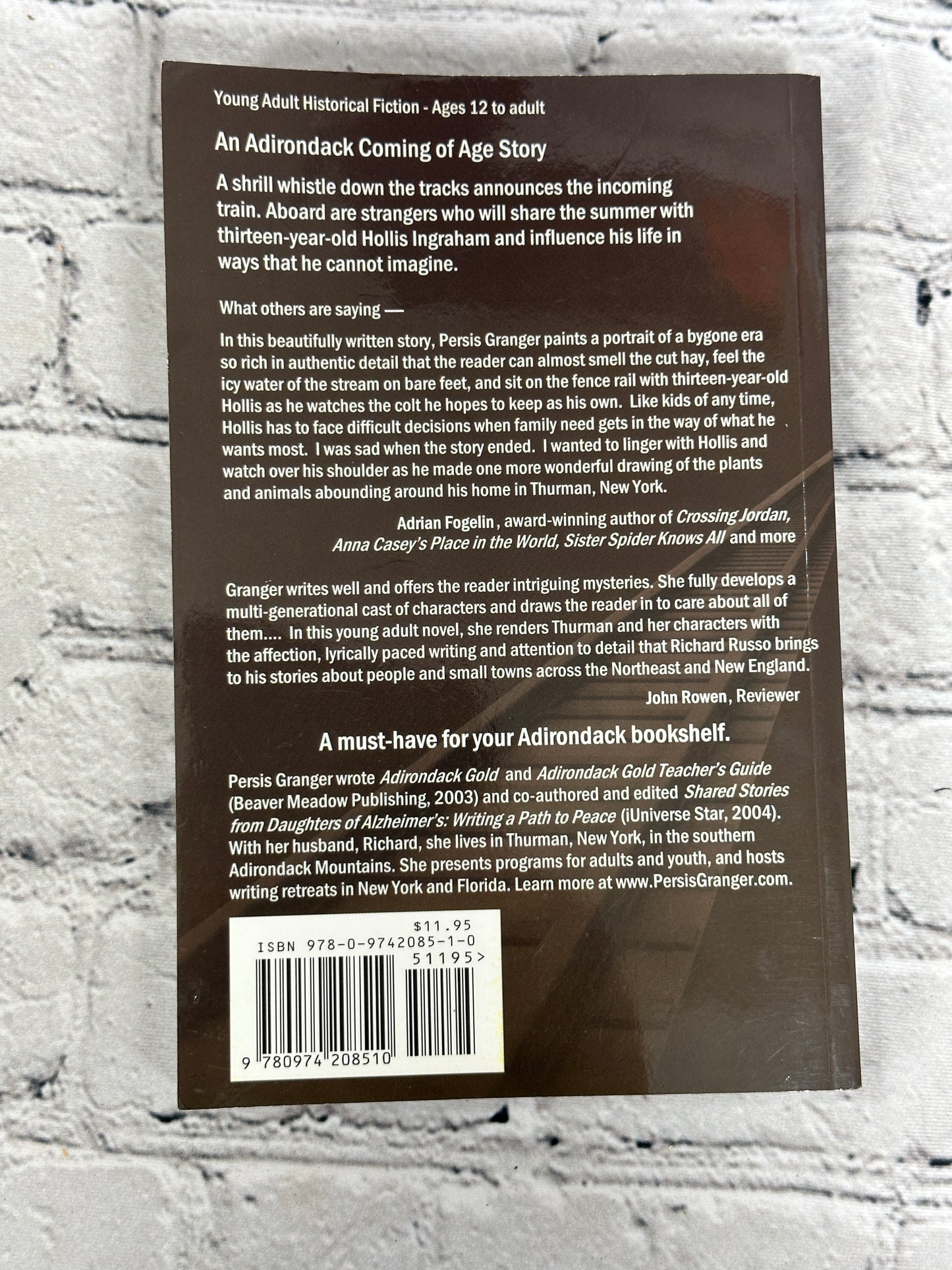 Adirondack Gold II : A Summer of Strangers by Persis R. Granger (2008)