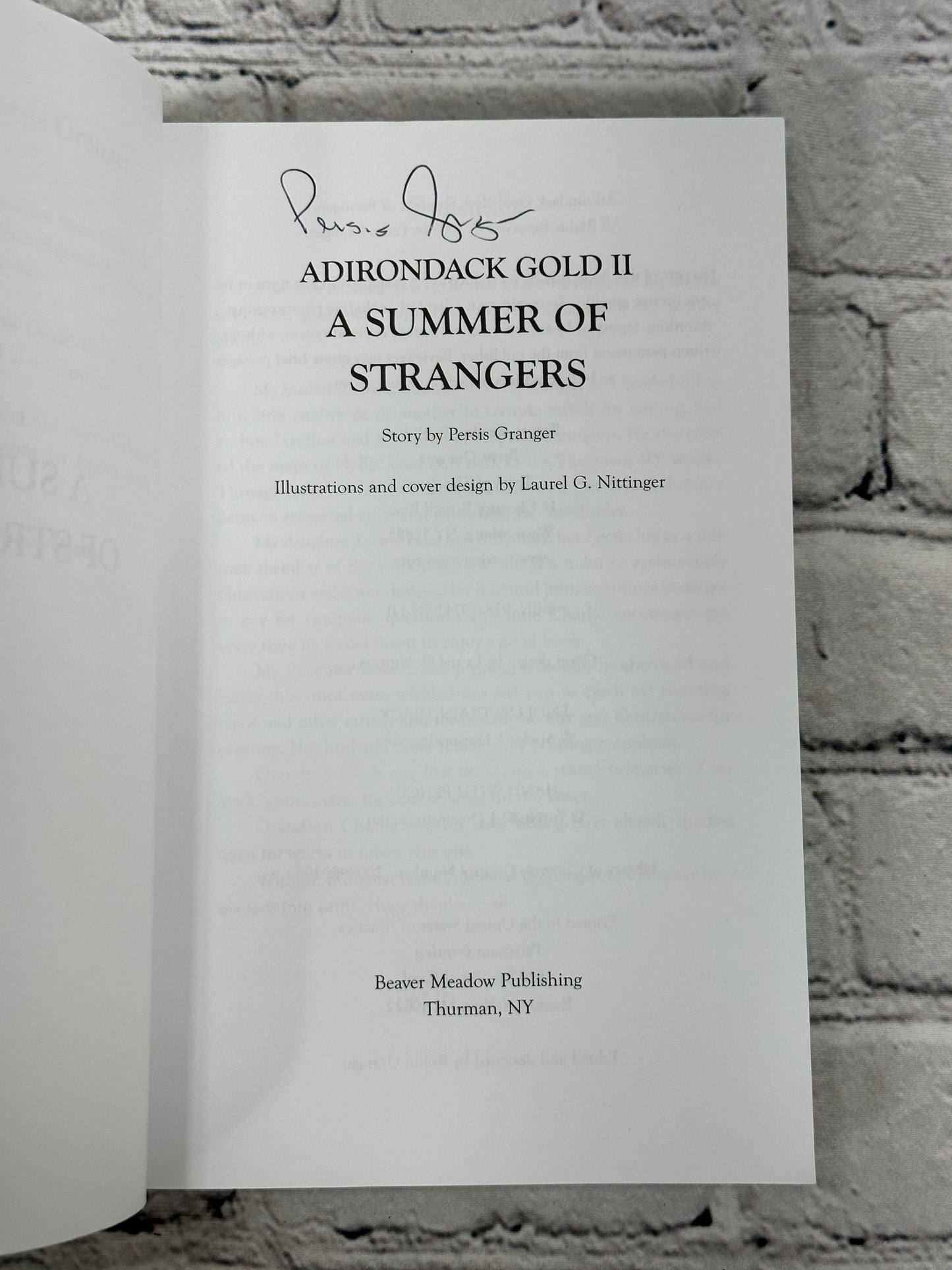 Adirondack Gold II : A Summer of Strangers by Persis R. Granger (2008)