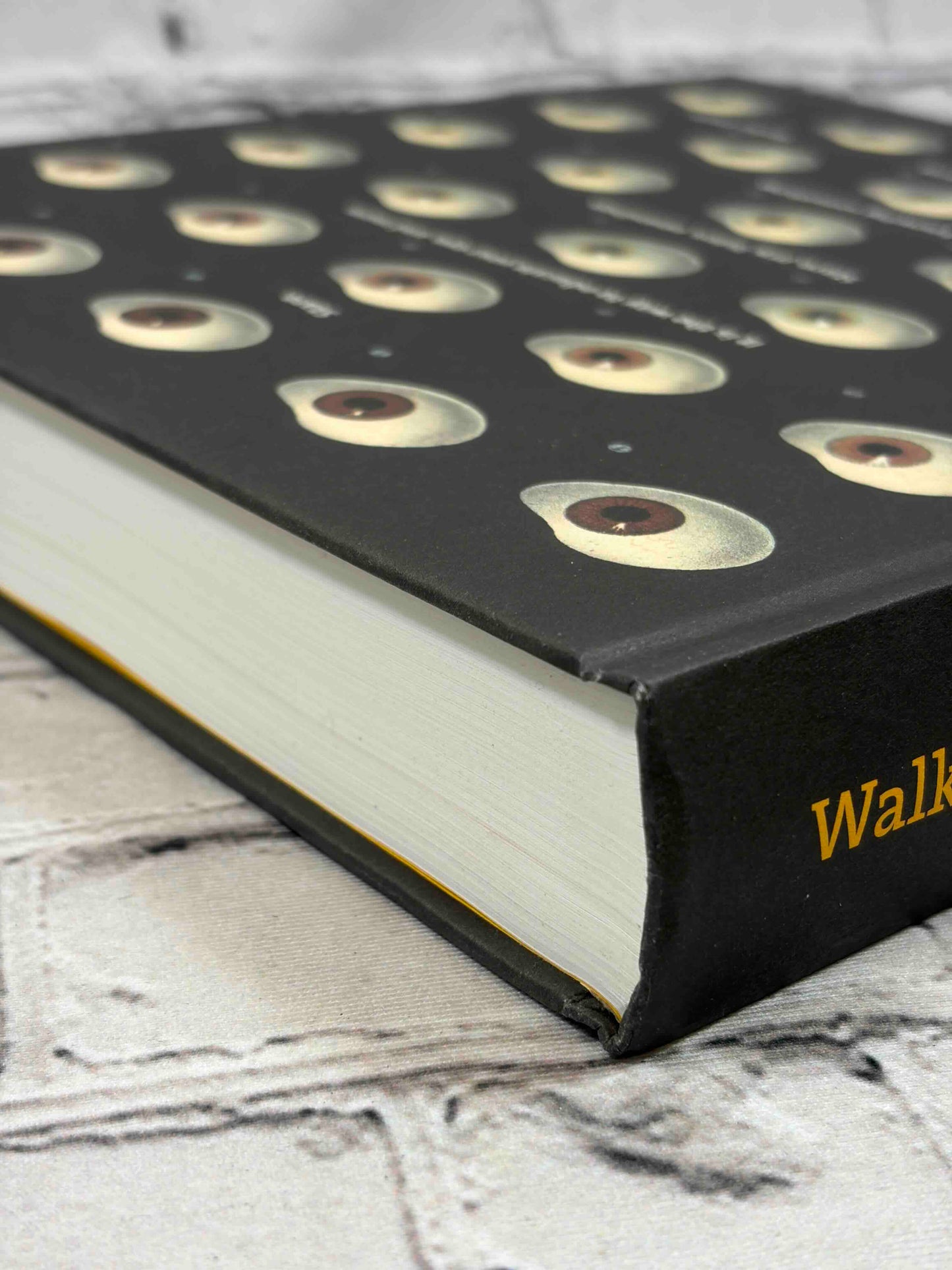 Walker Evans: Depth of Field