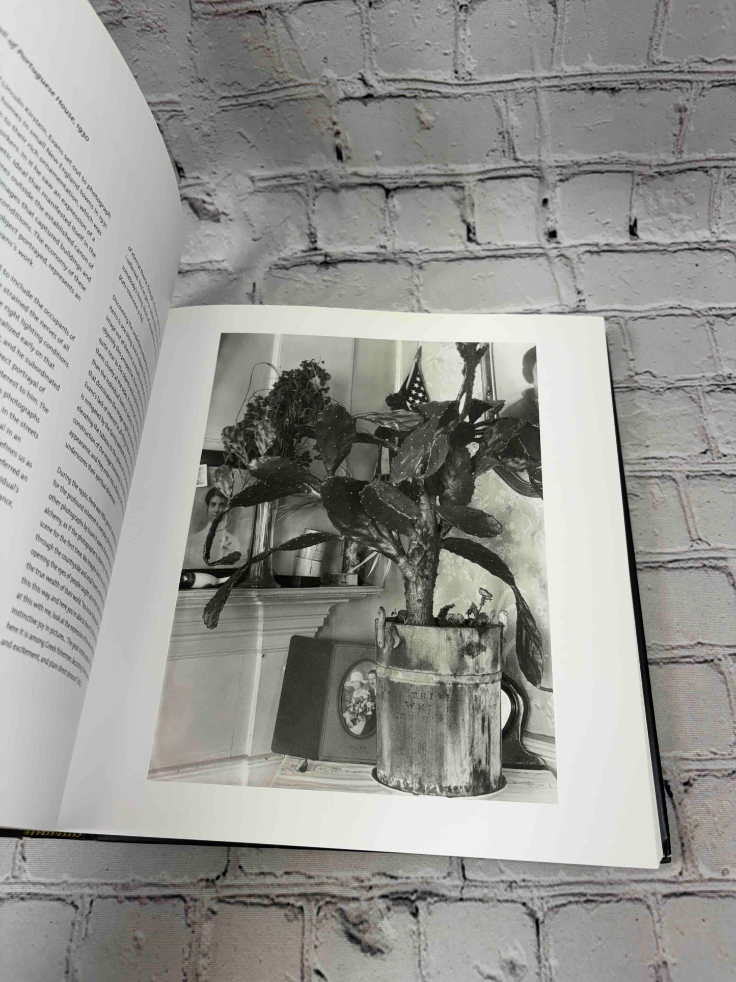 Walker Evans: Depth of Field