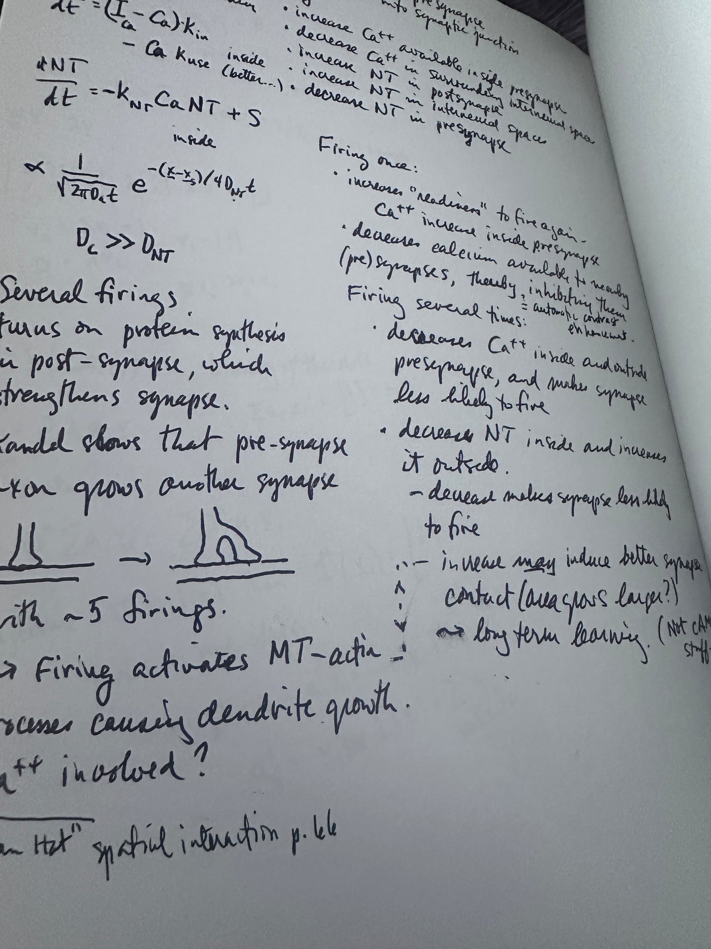 Neural Networks and Brain Function by Edmund Rolls & Alessandro T. [1999]