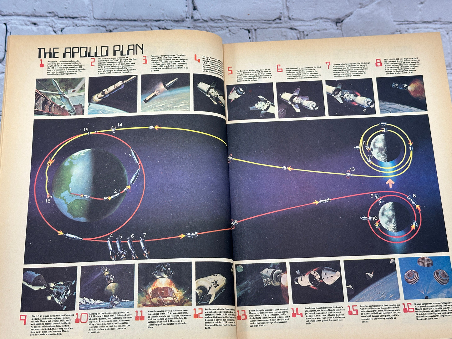 Webster's Encyclopedia of Dictionaries [New American Ed. · Large Type · 1981]