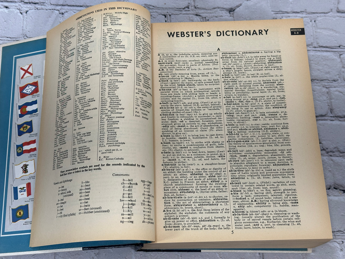 Webster's Encyclopedia of Dictionaries [New American Ed. · Large Type · 1981]