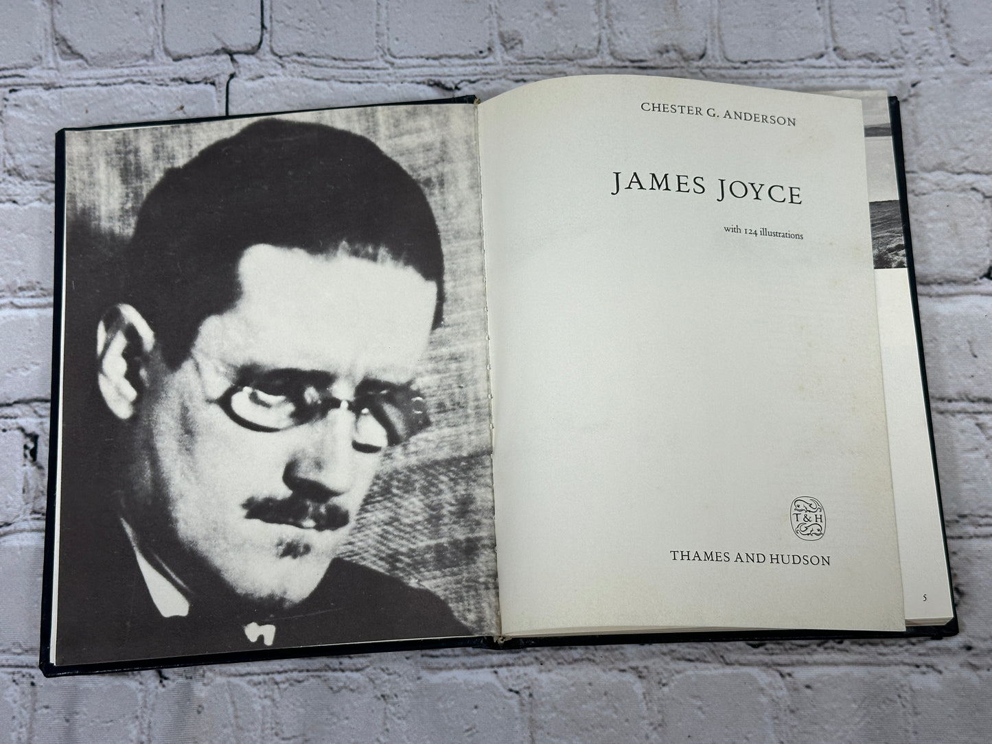 James Joyce by Chester G. Anderson [1986]