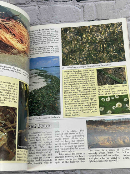 Florida's Fabulous Seashells: And Other Seashore Life