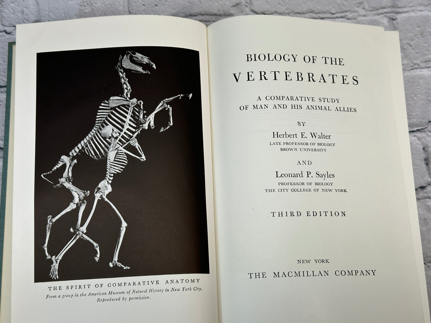 Biology of the Vertebrates by Herbert Walter & Leonard Sayles [1964 · Third Ed.]