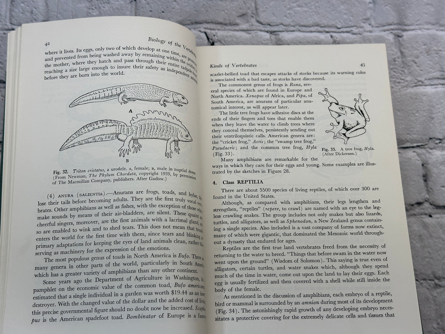 Biology of the Vertebrates by Herbert Walter & Leonard Sayles [1964 · Third Ed.]