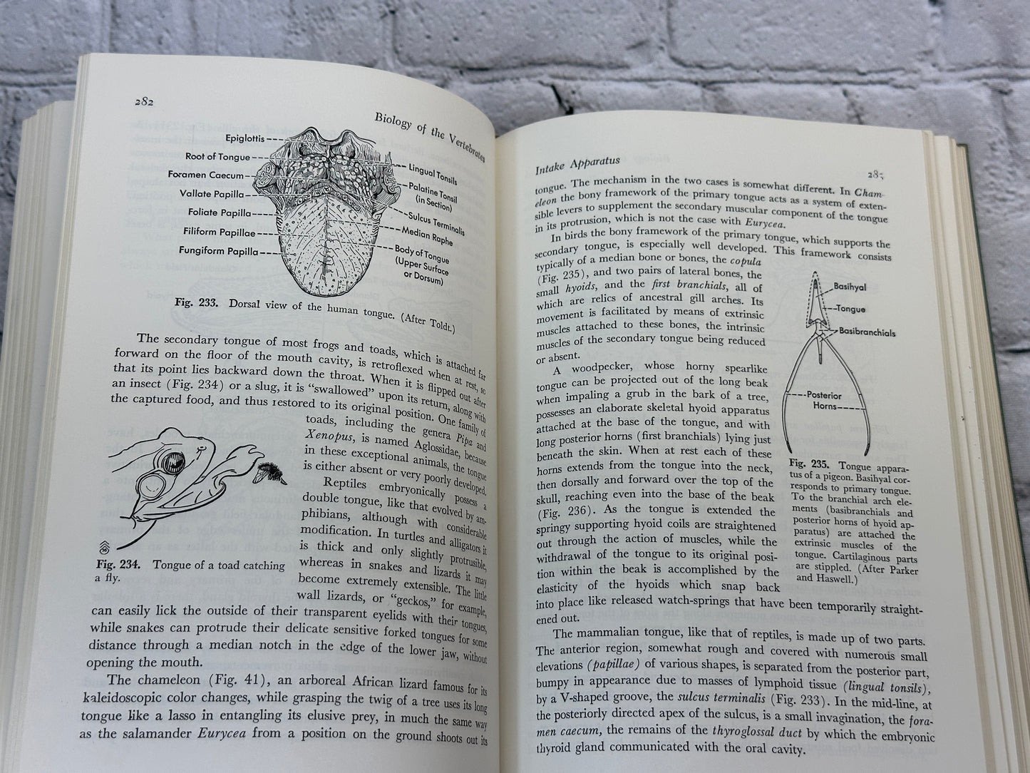 Biology of the Vertebrates by Herbert Walter & Leonard Sayles [1964 · Third Ed.]