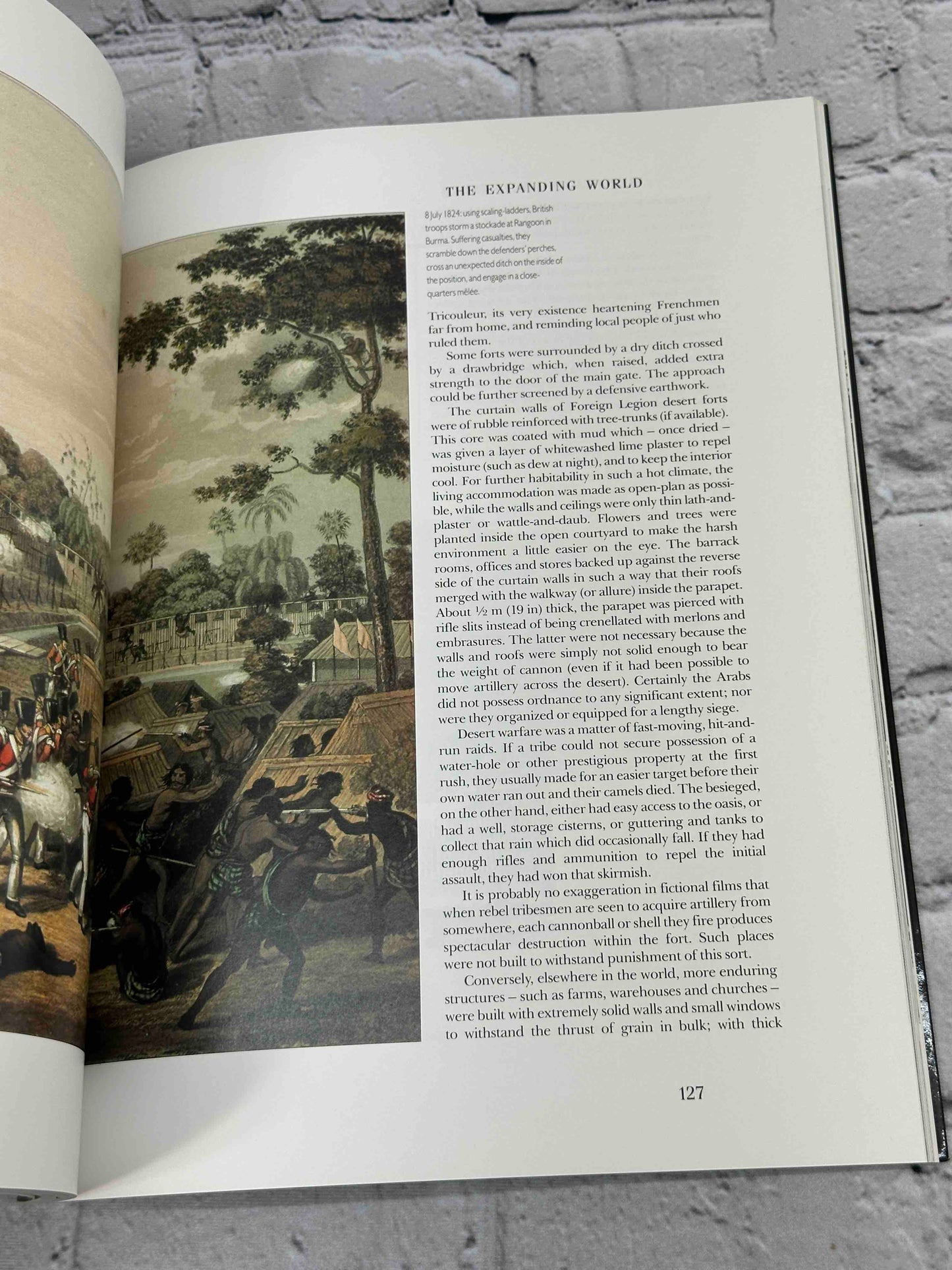 A Chronicle History of Forts and Fortressess