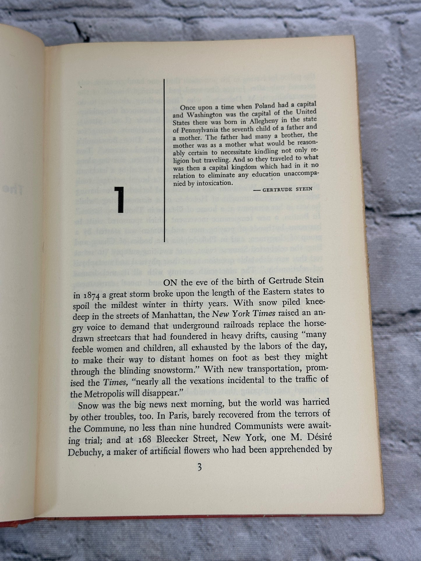 Third Rose Gertrude Stein and Her World John Brinnin [1959 · First Edition]