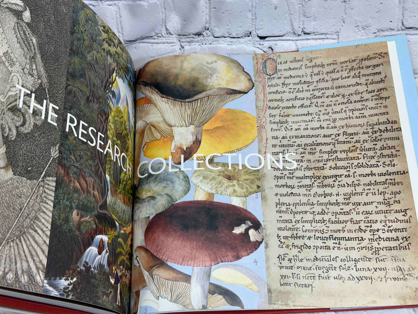 The New York Botanical Garden