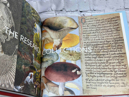 The New York Botanical Garden