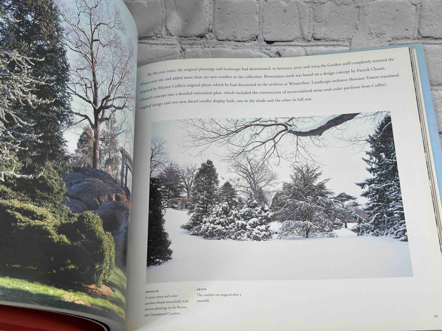 The New York Botanical Garden