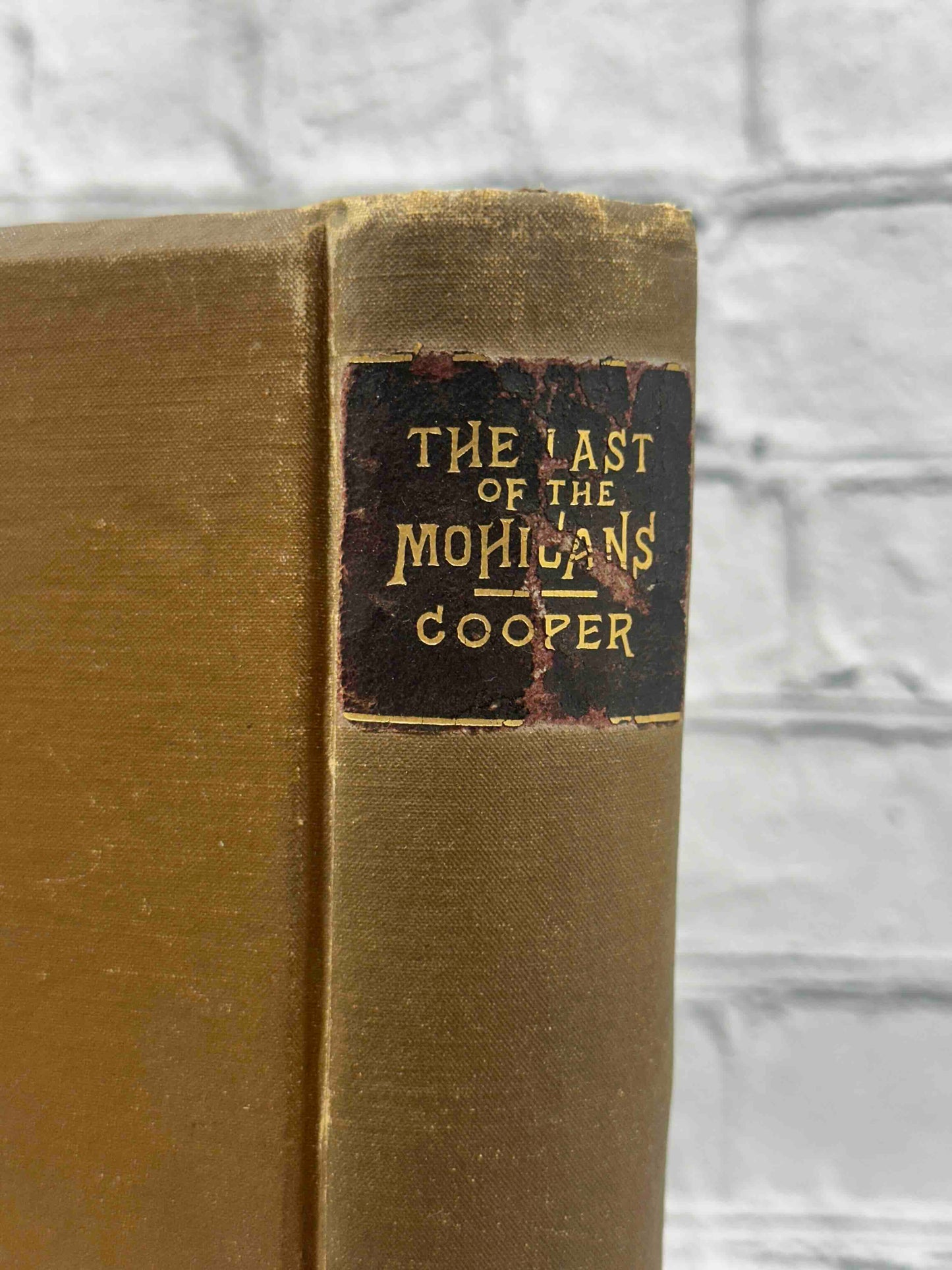 The Last of the Mohicans