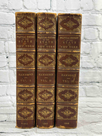 Political History of the State of New York