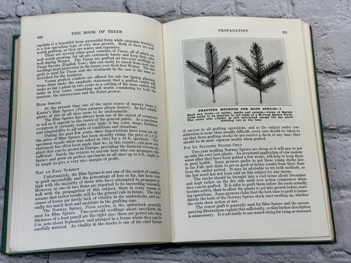 The Book Of Trees by Alfred C. Hottes [1949 · Fifth Printing]