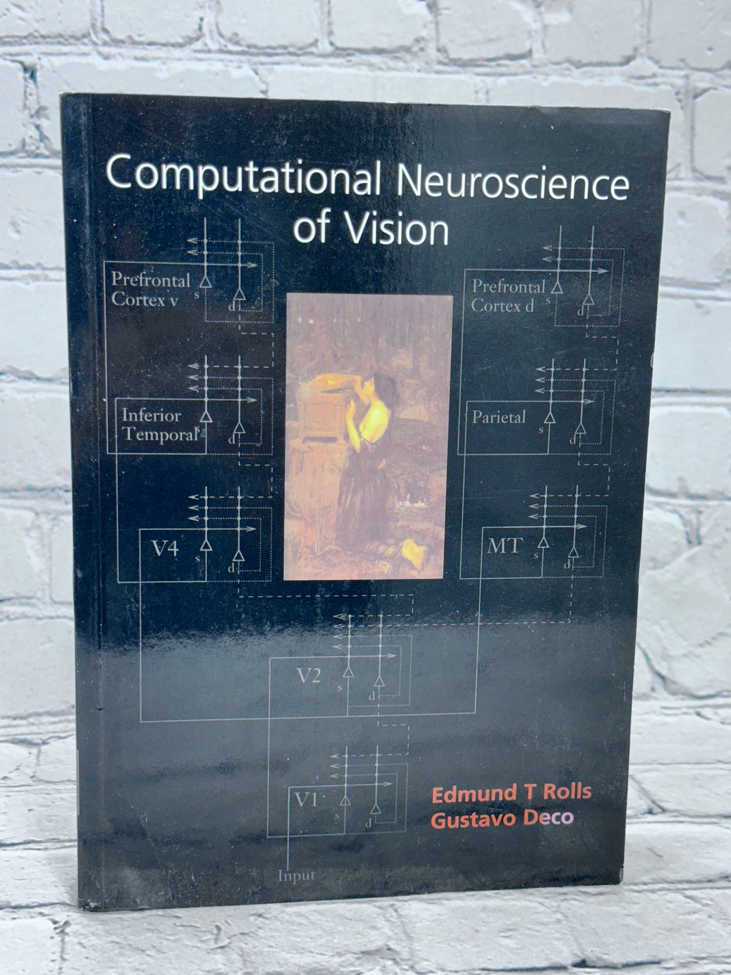 Computational Neuroscience of Vision by Rolls, Deco [2006]