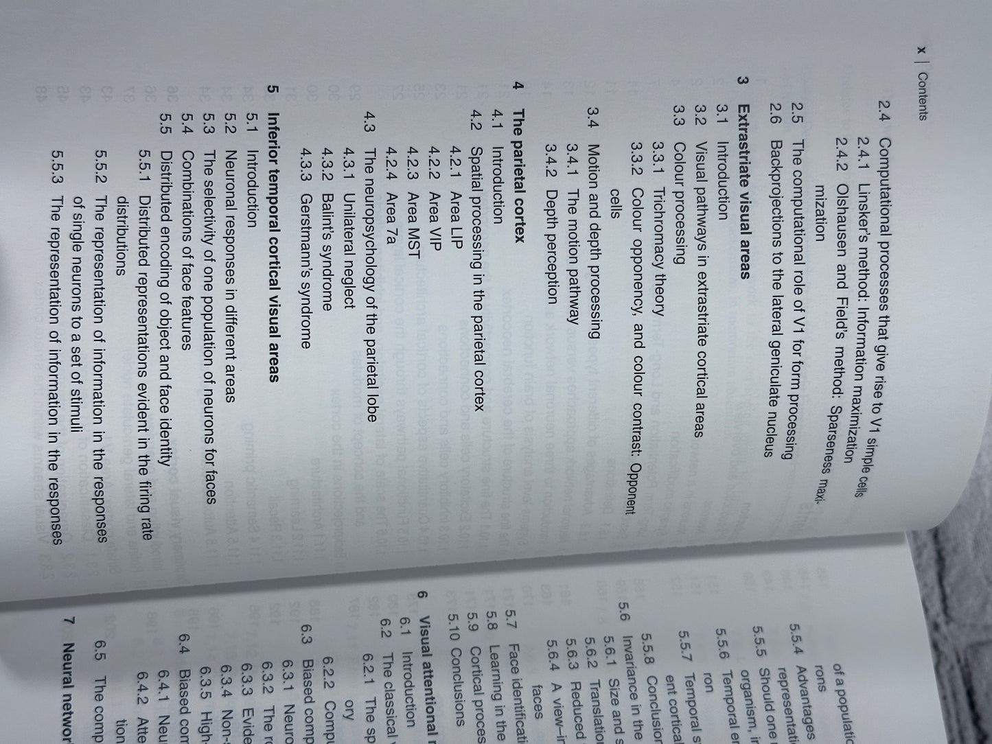 Computational Neuroscience of Vision by Rolls, Deco [2006]