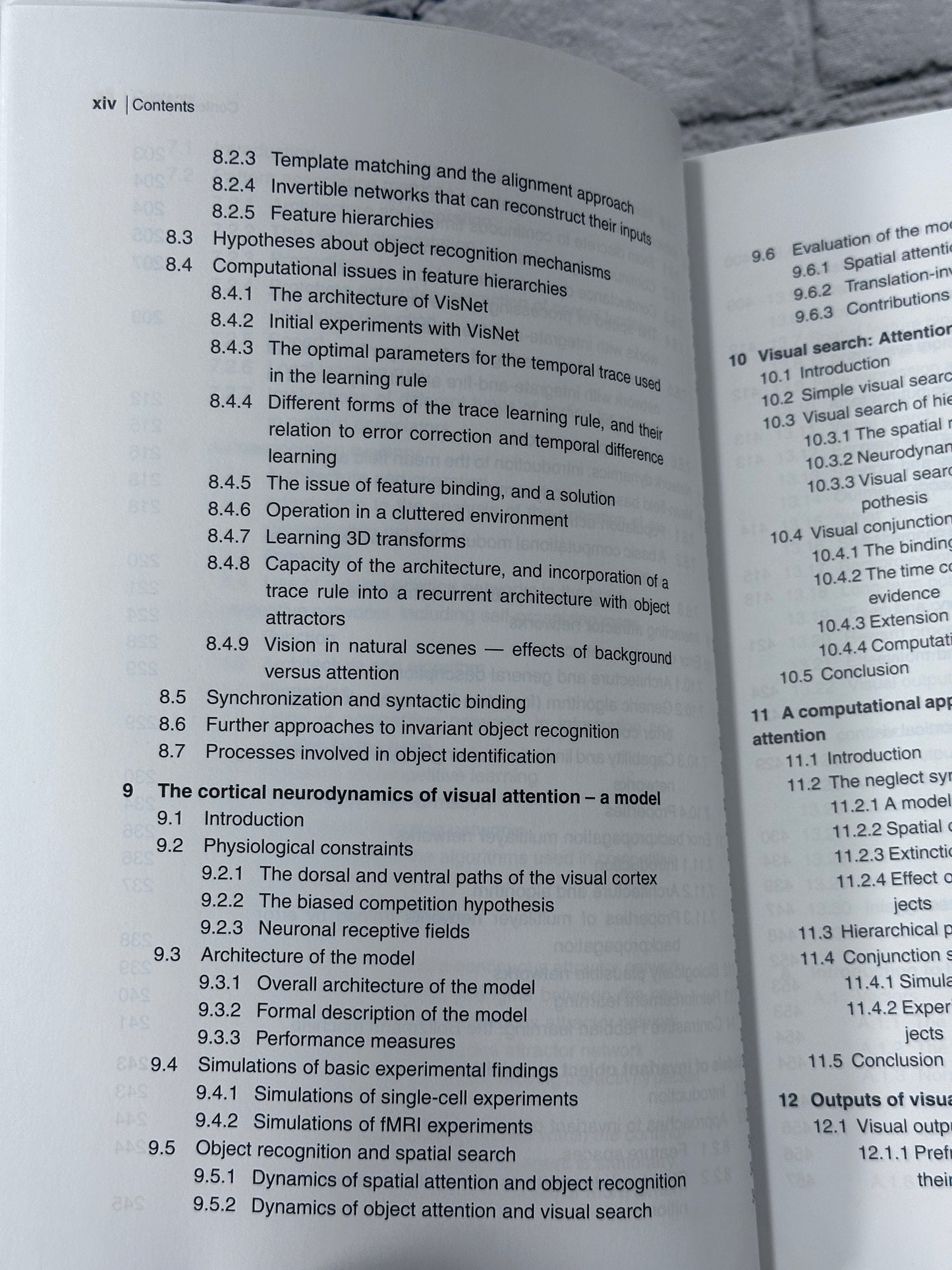 Computational Neuroscience of Vision by Rolls, Deco [2006]