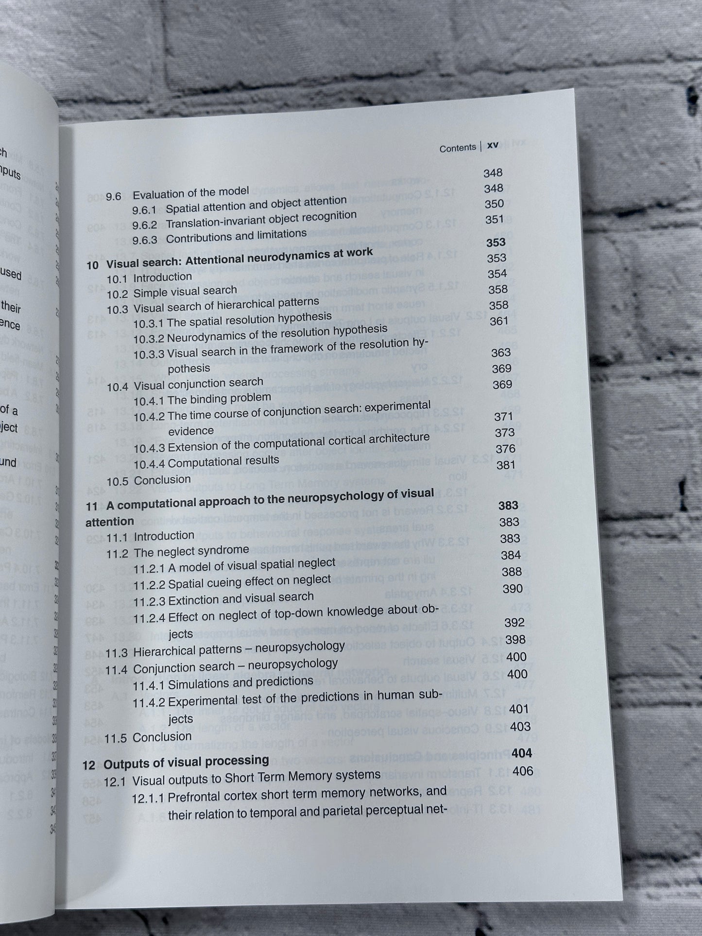 Computational Neuroscience of Vision by Rolls, Deco [2006]